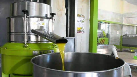 Extra virgin olive oil liquid flow from the extraction machine. Stock Footage 228627926