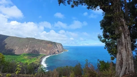 Extra Wide Panoramic Landscape of Waipio Valley, Hawaii Big Island Stock Footage 330757082
