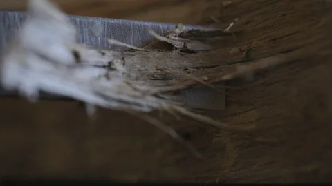 Extra wood scrapped off with a chisel Stock Footage 87612157