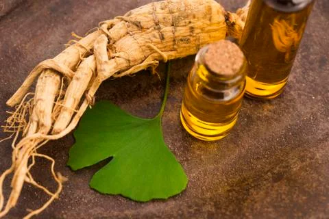 Extract of ginseng root and ginkgo biloba leaves Stock Photos