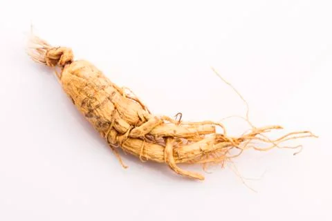 Extract of ginseng root Stock Photos
