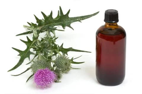 Extract of milk thistle Foto stock