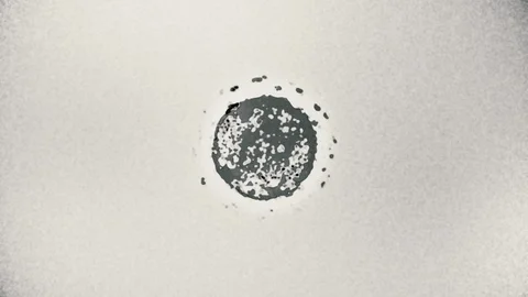 Extracted coronavirus under microscope, computer generated animation Stock Footage 127713178
