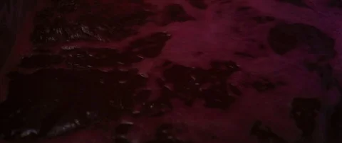 Extracted grape juice during winemaking process Stock-Footage 102214345