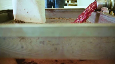 Extracted grape juice getting refined in the strainer Stock Footage 87808317