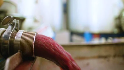 Extracted grape juice getting refined Stock Footage 87808352