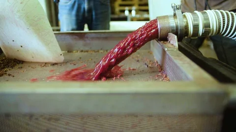 Extracted grape juice getting refined in the strainer Stock Footage 87839574