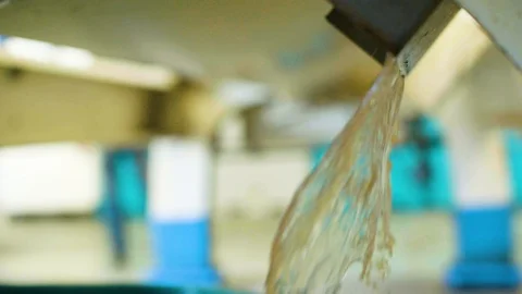 Extracted grape juice pouring out of the machine Stock Footage 87808246