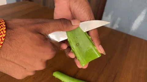 Extracting Aloe Vera Gel from Leaf | Cutting Aloe Vera Leaf Close Up Stockbeeldmateriaal 316021020