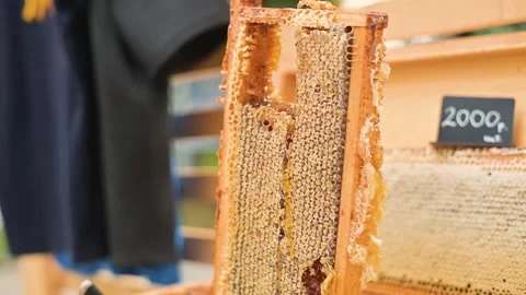 Extracting honey from honeycomb frames in a beekeeping setting. Wooden frames Stock Footage 345883387
