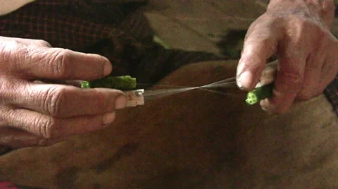 Extracting lotus threads, Myanmar Stock Footage 54421097