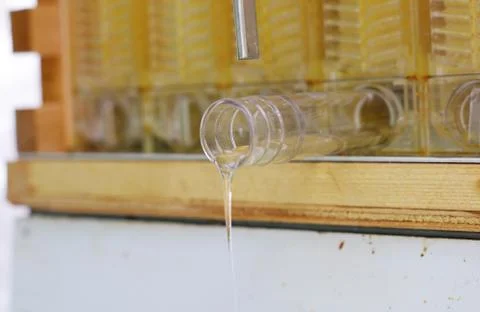 Extracting natural honey from beehive Stock Photos