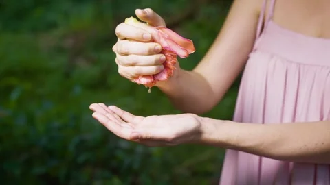 Extracting Oil from Flower 2 Video stock 288850831