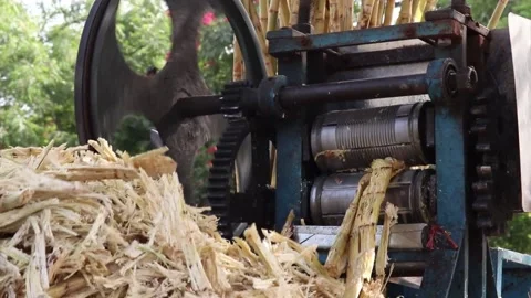 Traditional sugarcane deals juice machine