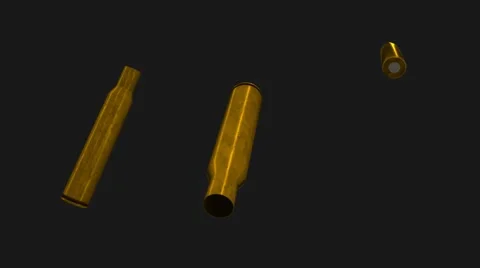 Extracting of rifle shells Stock Footage 6105683