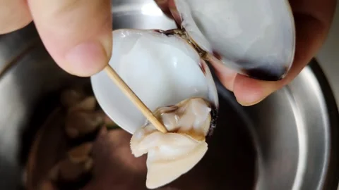 Extracting Shell Meat with Toothpicks Stock Footage 305369860
