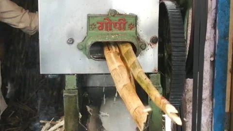 Extracting sugarcane juice Stock Footage 196934344