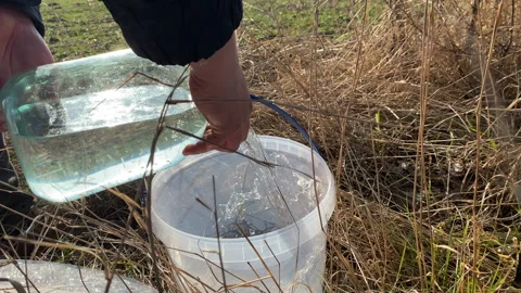 Extraction of birch sap in a spring field Stock Footage 172435578