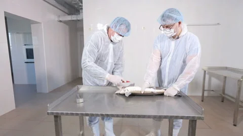 Extraction of black caviar from fish Stock Footage 116663934