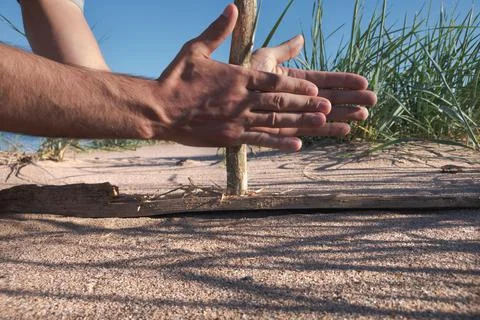 Extraction of fire in an ancient way. A man tries to make a fire in the wild 写真素材