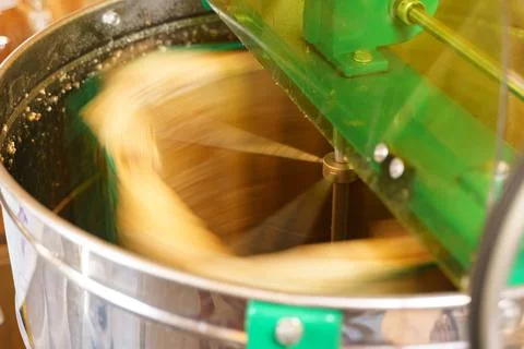 Extraction of honey from honeycombs of nesting frames in a honey extractor. Stock Photos
