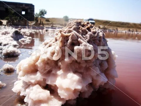 Extraction of salt in the estuary with red water. Salt pillars. Stock Photos