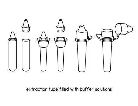 Extraction tube filled with buffer solutions diagram for experiment setup lab ou Stock Illustration