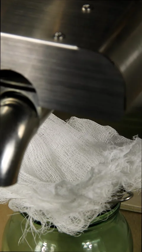 The extraction of vegetable oil. First drops of oil. Stock Footage 168890111