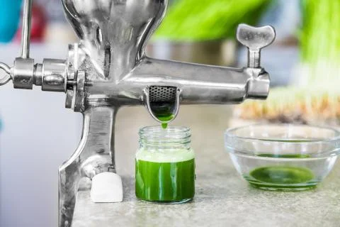 Extraction of Wheatgrass in Action on the Kitchen Countertop using a Manual J Stock Photos