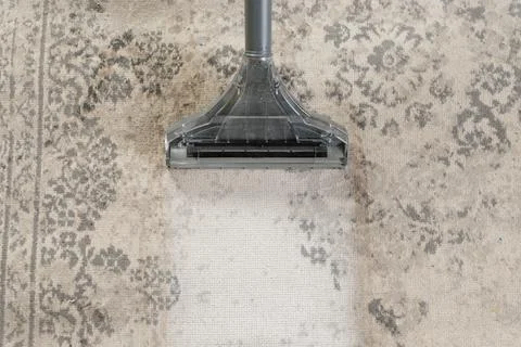 Extractor head restoring dirty patterned carpet in home interior Stock Photos