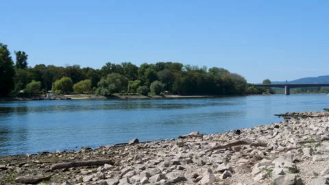 Extraordinary low water level at River Rhine, Germany Stock Footage 342028746