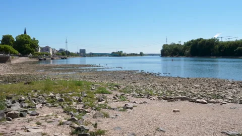 Extraordinary low water level at River Rhine, Germany Stock Footage 342028859