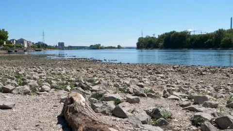Extraordinary low water level at River Rhine, Germany Stock Footage 342028991