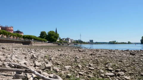 Extraordinary low water level at River Rhine, Germany Stock Footage 342029619