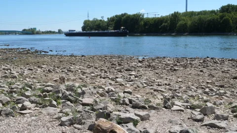 Extraordinary low water level at River Rhine, Germany Stock Footage 342029687