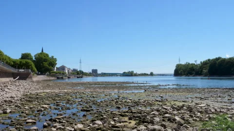 Extraordinary low water level at River Rhine, Germany Stock Footage 342030224