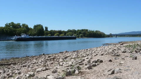 Extraordinary low water level at River Rhine, Germany Stock Footage 342030382