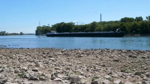 Extraordinary low water level at River Rhine, Germany Stock Footage 342030384