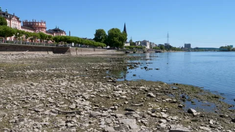 Extraordinary low water level at River Rhine, Germany Stock Footage 342031603