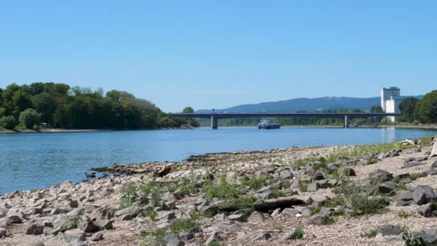 Extraordinary low water level at River Rhine, Germany Stock Footage 342033138