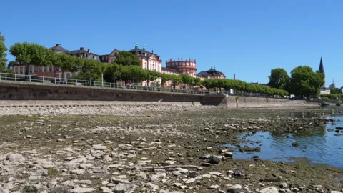 Extraordinary low water level at River Rhine, Germany Stock Footage 342033139