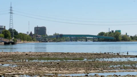 Extraordinary low water level at River Rhine, Germany Stock Footage 342033140