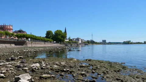 Extraordinary low water level at River Rhine, Germany Stock Footage 342033551