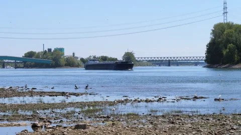 Extraordinary low water level at River Rhine, Germany Stock Footage 342037091