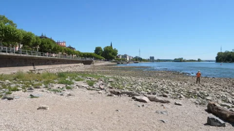 Extraordinary low water level at River Rhine, Germany Stock Footage 342037627