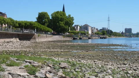 Extraordinary low water level at River Rhine, Germany Stock Footage 342040041