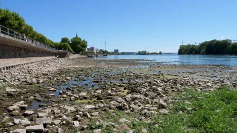 Extraordinary low water level at River Rhine, Germany Stock Footage 342051076