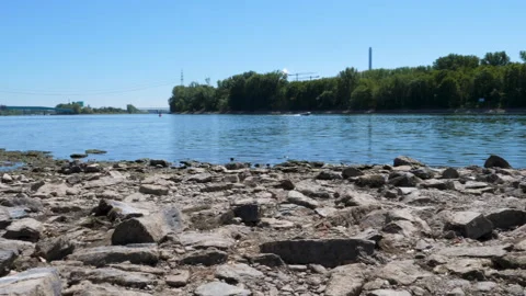 Extraordinary low water level at River Rhine, Germany Stock Footage 342051188