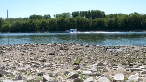 Extraordinary low water level at River Rhine, Germany Stock Footage 342051501