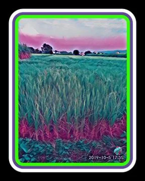 An extraordinary photo frame with graphic pattern of designing of colorful crops Stock Illustration